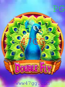 Explorando o Excitante Mundo de DoubleFly: Uma Jornada com 47GG