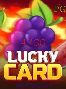 Descubra o Universo de LuckyCard: Guia Completo